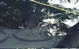 o3k-136-11.sga.jpg