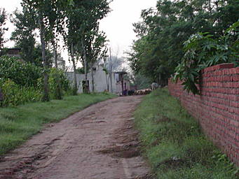 lane in Naggal