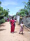 village scene, Andra Pradesh, India