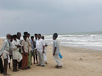 tsunami damage assessment