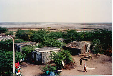 o3k-123-23.jpg