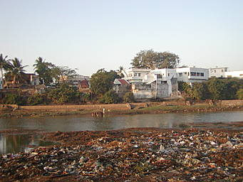 o70-046-60.jpg